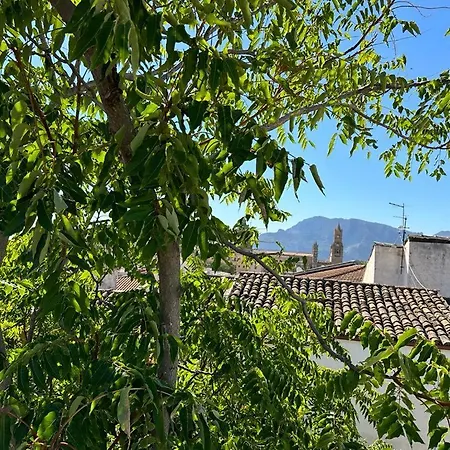 Apartament Capo *